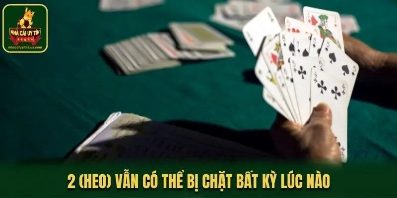 2 heo vẫn có thể bị chặt bất kỳ lúc nào