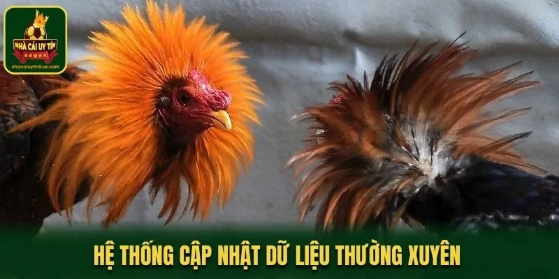 Hệ thống cập nhật dữ liệu thường xuyên 