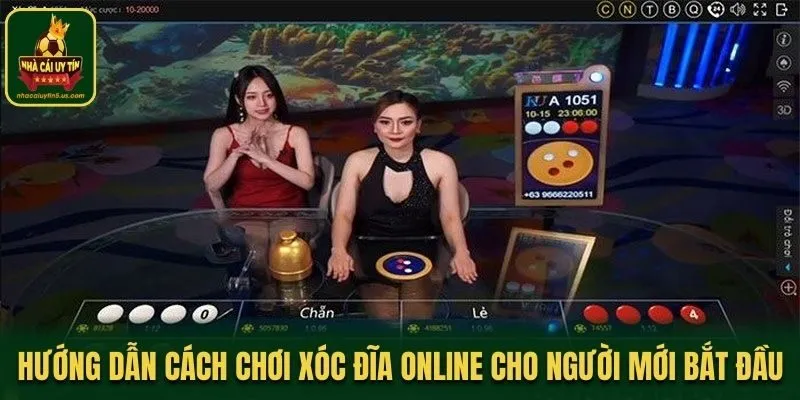 Hướng dẫn cách chơi Xóc Đĩa online cho người mới bắt đầu