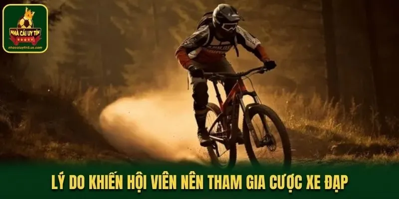 Lý do khiến hội viên nên tham gia cược xe đạp